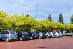 Werknemers mogen auto’s werkgever meenemen